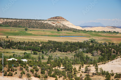 yellow rock mountain and plateau forest in southwest of USA