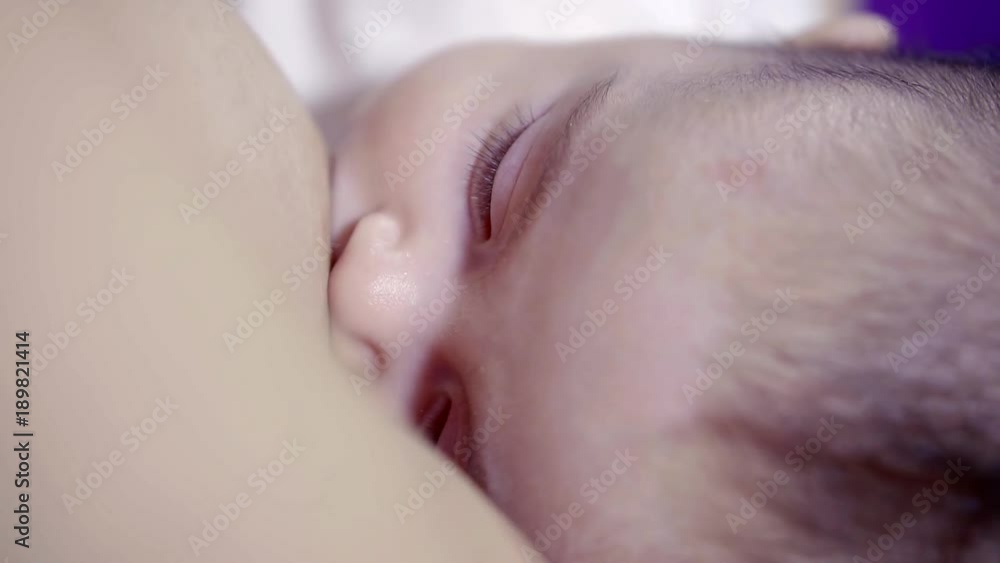 portrait of a small newly born girl with chestnut hair who eats milk from her mother's breast portrait of a small newly born girl with chestnut hair who eats milk from her mother's breast
