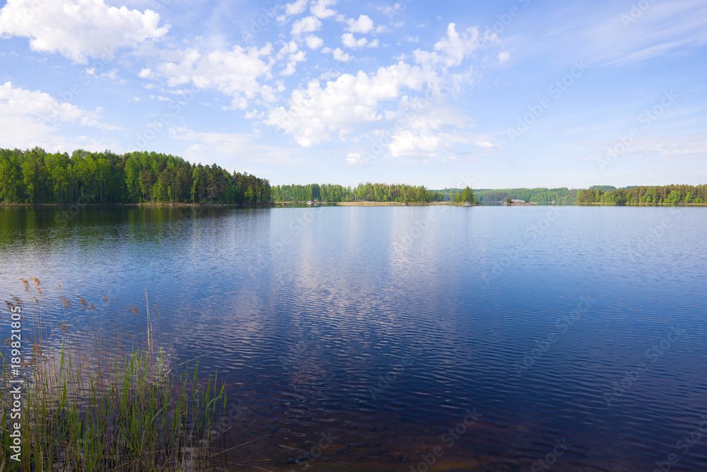 A June morning on the Pappilanlahti lake. Surroundings of Ruokolahti, Finland A June morning on the Pappilanlahti lake. Surroundings of Ruokolahti, Finland