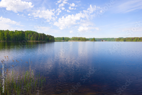 Fototapeta Naklejka Na Ścianę i Meble -  A June morning on the Pappilanlahti lake. Surroundings of Ruokolahti, Finland