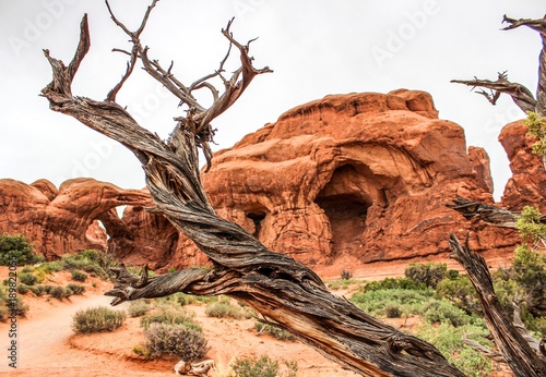 Desert Red Rock Utah Landscape