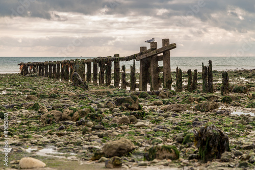 Wooden barrier and stones on the beach of Cuckmere Haven, East Sussex, UK photo