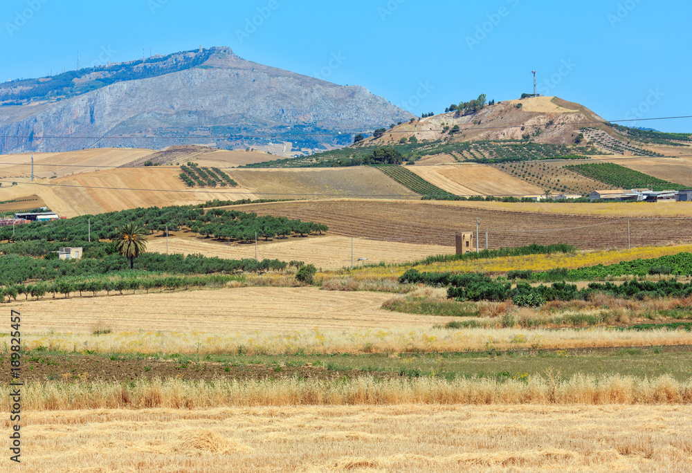 Fototapeta premium Sicily summer agriculture countryside, Italy