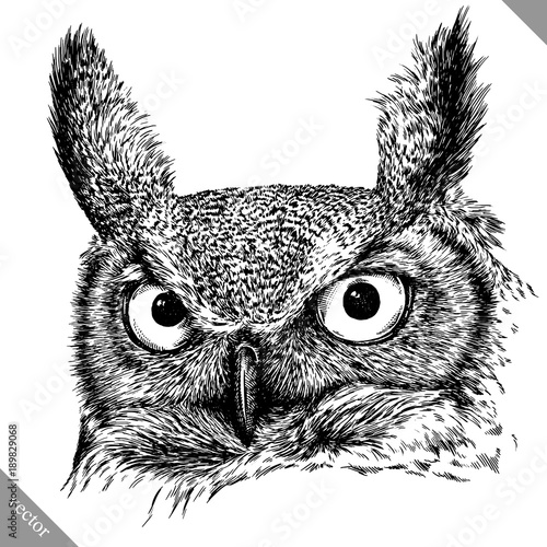 black and white engrave isolated owl vector illustration