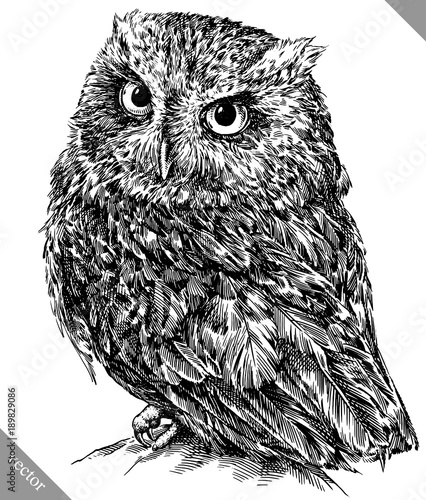 black and white engrave isolated owl vector illustration