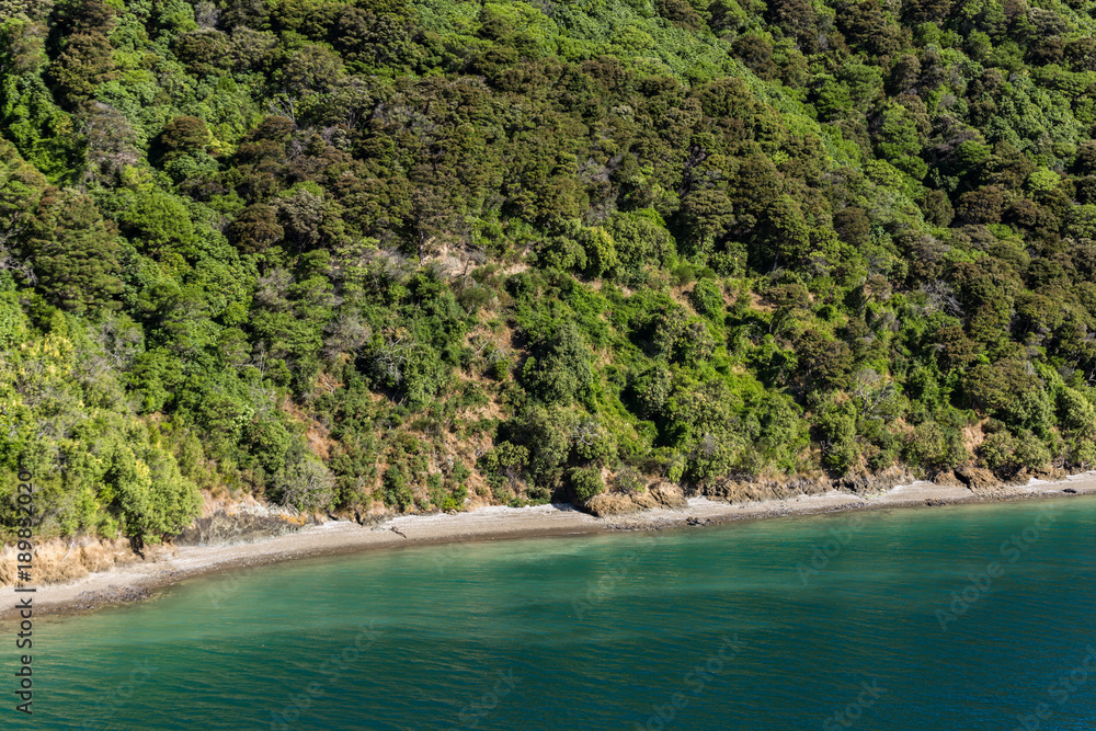 Wild landscape, shot from the top deck of a ferry, travelling from Wellington to Picton, New Zealand.