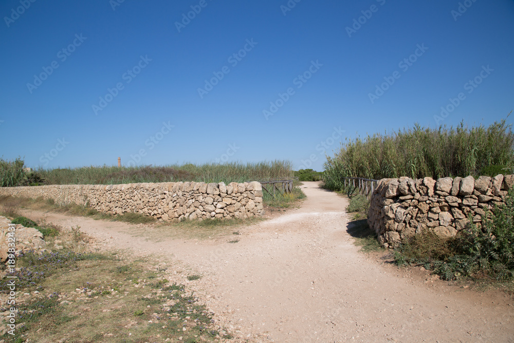 Sentiero, Riserva naturale orientata Oasi faunistica di Vendicari, primavera 