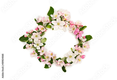 Wreath of flowers apple tree on a white background with space for text. Top view, flat lay