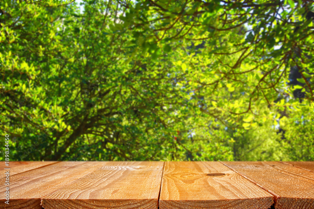 Empty table in front of blurry forest background. Ready for product display  montage. Stock Photo | Adobe Stock