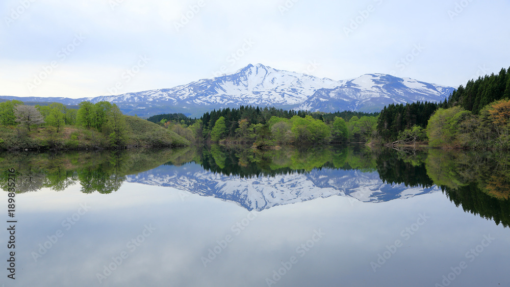 新緑の大潟溜池と鳥海山（16：9）　Fresh green Ogata pond and Mt.Chokai