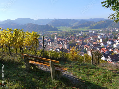 Beautiful and romantic Autumn view of Gengenbach in the Black Forest area from the top of the hill with view of the old town, bench, vineyards, mountains