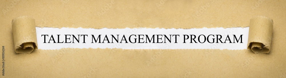 Talent Management Program