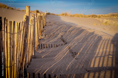les ganivelles et les dunes de sables en camargue