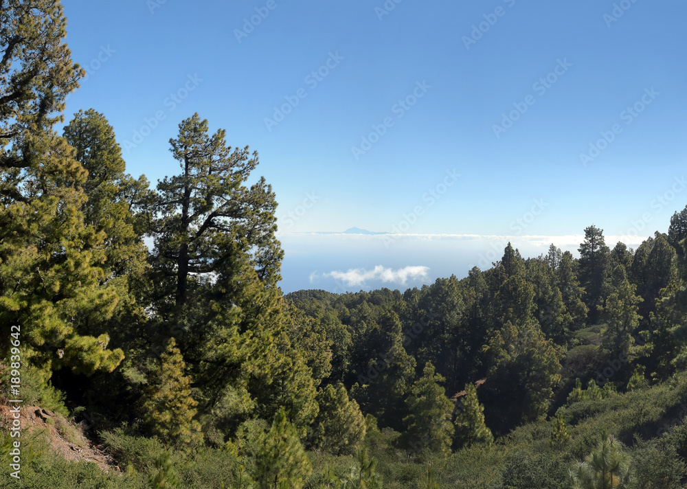 nationalpark caldera de taburiente nationalpark caldera de taburiente