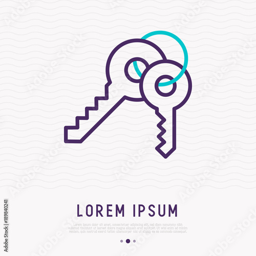 Bunch of keys thin line icon. Modern vector illustration, symbol of protection.