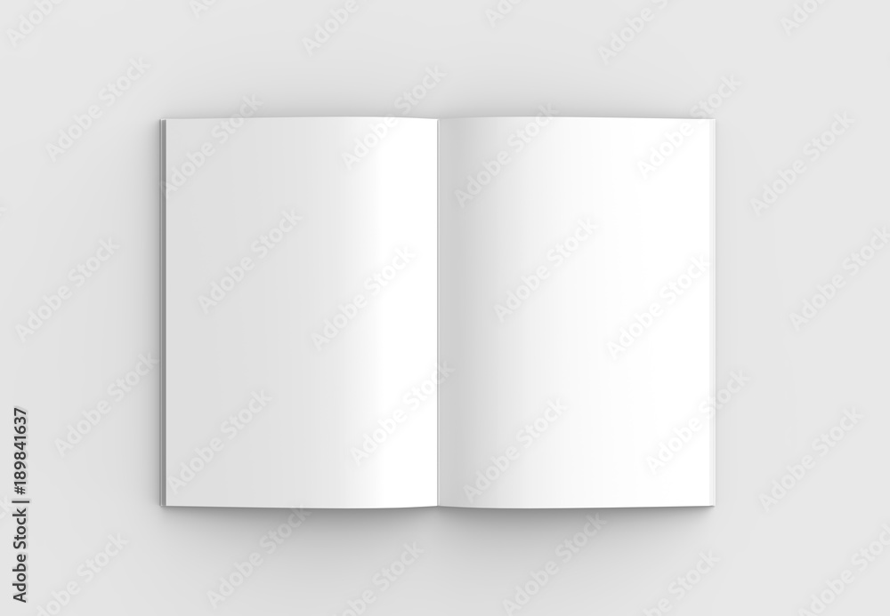 Fototapeta premium Broszura, magazyn, książka lub katalog makiety na białym tle na miękkim szarym tle. Ilustrujące 3D.
