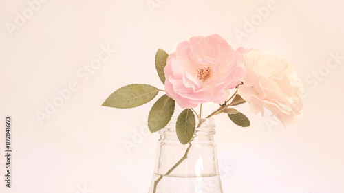 Rose flower in a vase, pastel color.