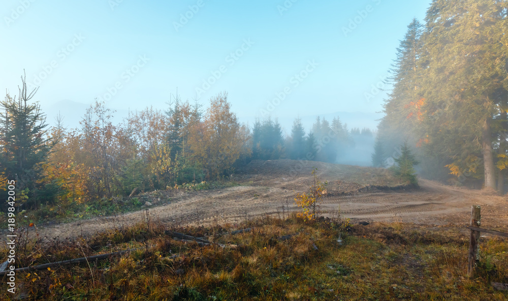 Fototapeta premium Autumn Carpathians, Ukraine.