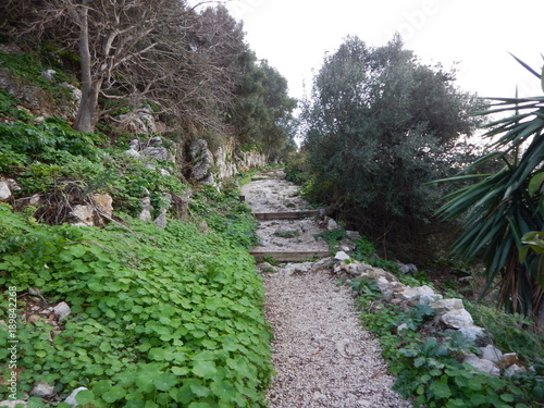beautiful rocky region around el Chorro in Andalusia