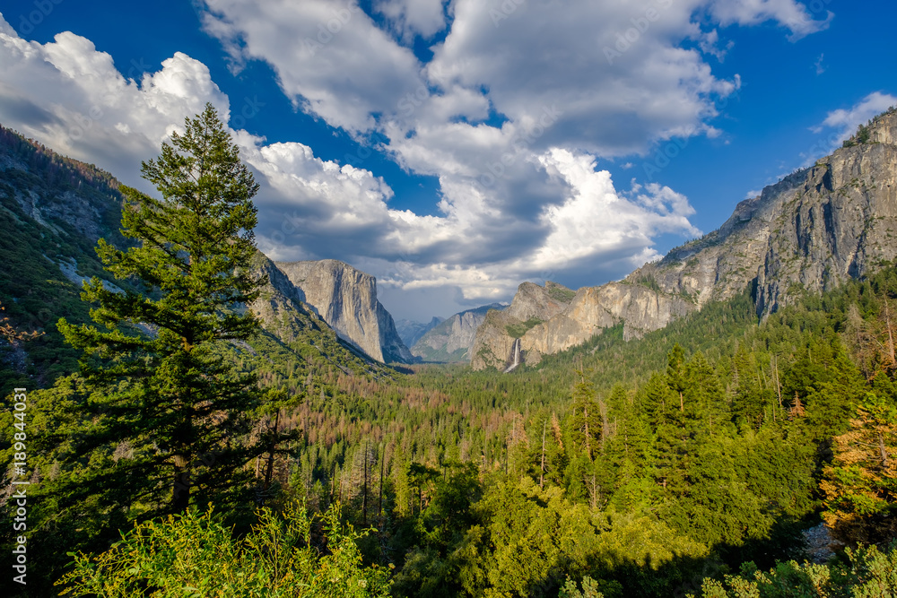 Yosemite National Park Valley summer landscape