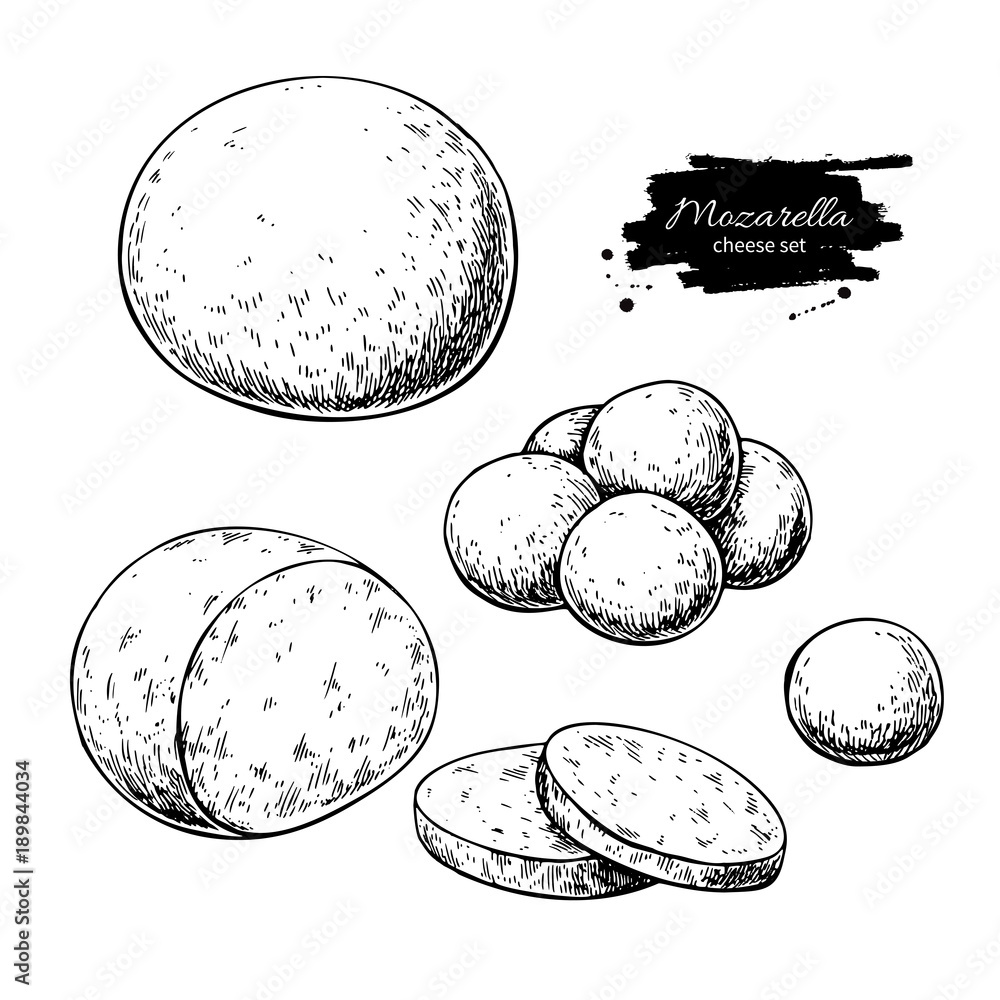 Mozzarella cheese vector drawing. Hand drawn round piece with baby