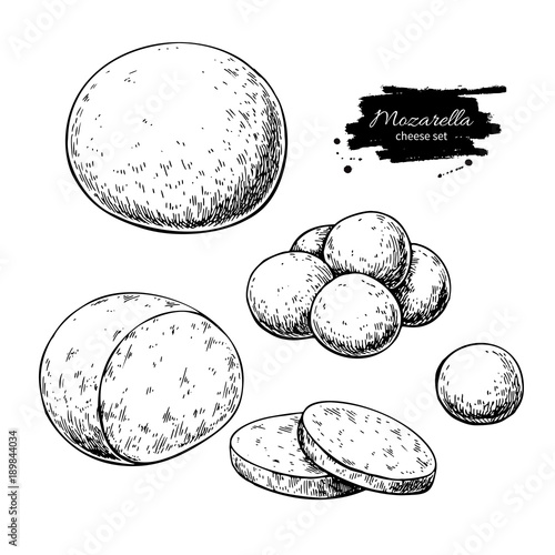 Mozzarella cheese vector drawing. Hand drawn round piece with baby mozzarella