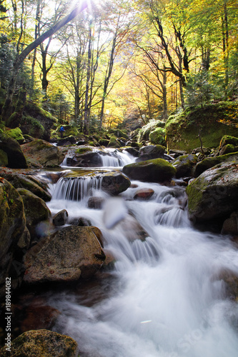 Belles couleurs d automne dans les pyr  n  es