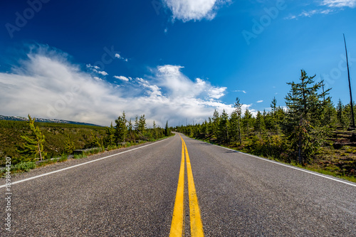 Highway in Yellowstone National Park