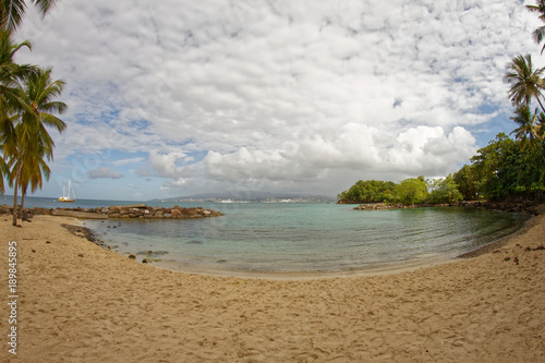 Fototapeta Naklejka Na Ścianę i Meble -  Small beach on Pointe du Bout with a view on Fort-de-France - Martinique - FWI