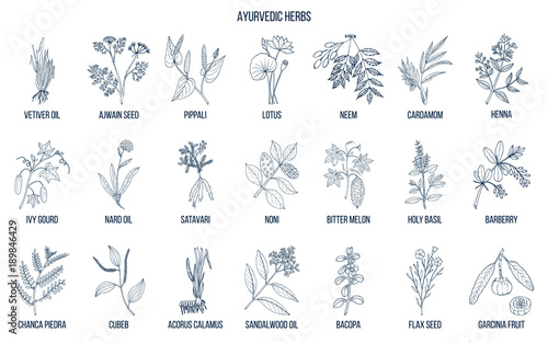 Ayurvedic herbs, natural botanical set