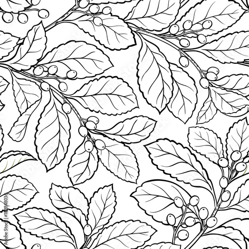 yerba mate seamless pattern