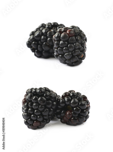 Couple of blackberries isolated