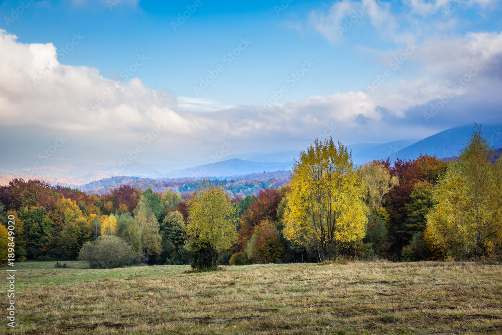Landscape with autumn season in Bieszczady mountains, Podkarpackie, Poland