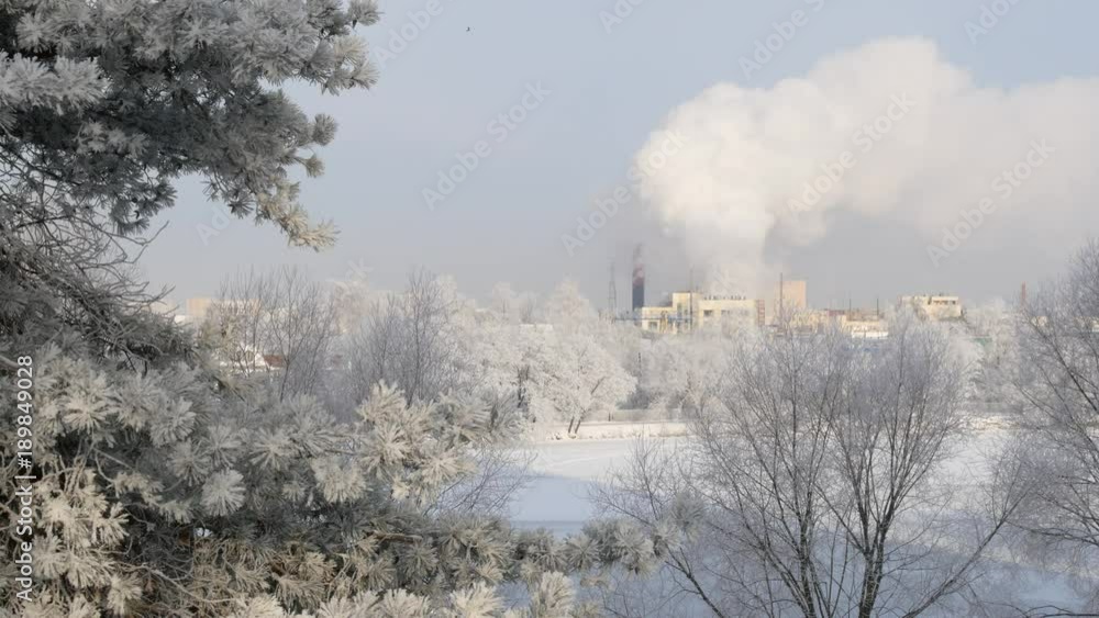 Factory plant smoke stack over blue sky background. Energy generation and air environment pollution industrial scene. Beautiful pine tree in the foreground. Factory plant smoke stack over blue sky background. Energy generation and air environment pollution industrial scene. Beautiful pine tree in the foreground.
