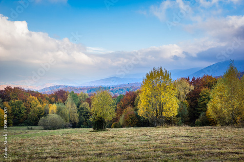 Landscape with autumn season in Bieszczady mountains, Podkarpackie, Poland