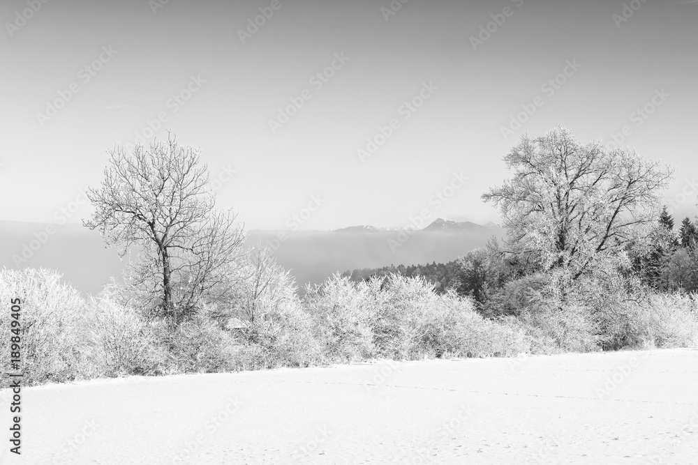 Obraz premium Cold Winter day in Switzerland near Lucerne