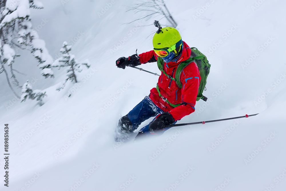 Skier freerider rides from powder snow on background of forest and mountains