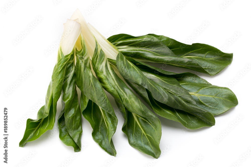Spinach leaves close up isolated on white. Spinach leaves close up isolated on white.