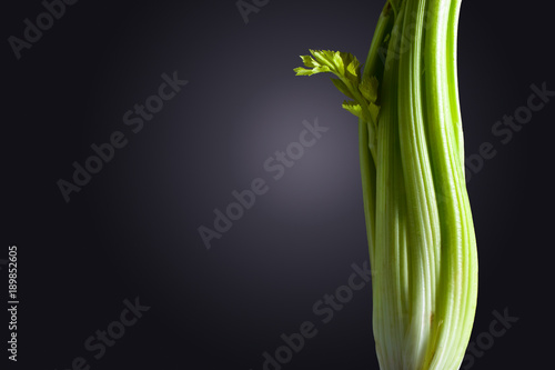 Fresh organic celery on a black background.