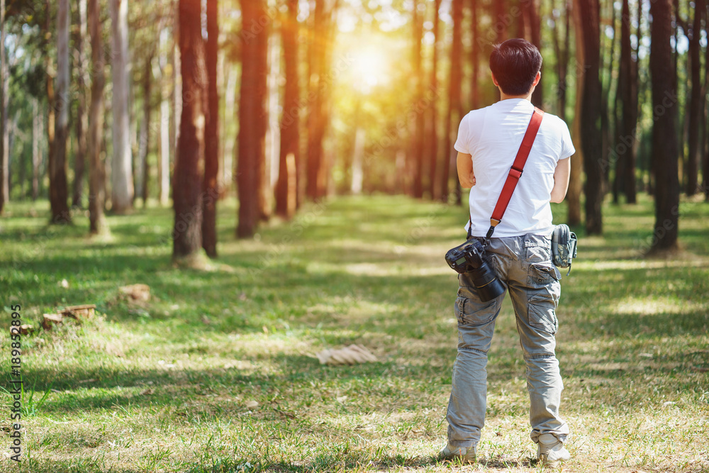 Photographer holding camera in the pine tree forest during journey Photographer holding camera in the pine tree forest during journey