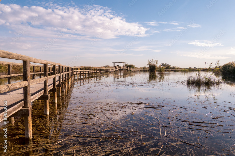 Naklejka premium Landschaftsschutzgebiet Parque Natural el Hondo - Südspanien