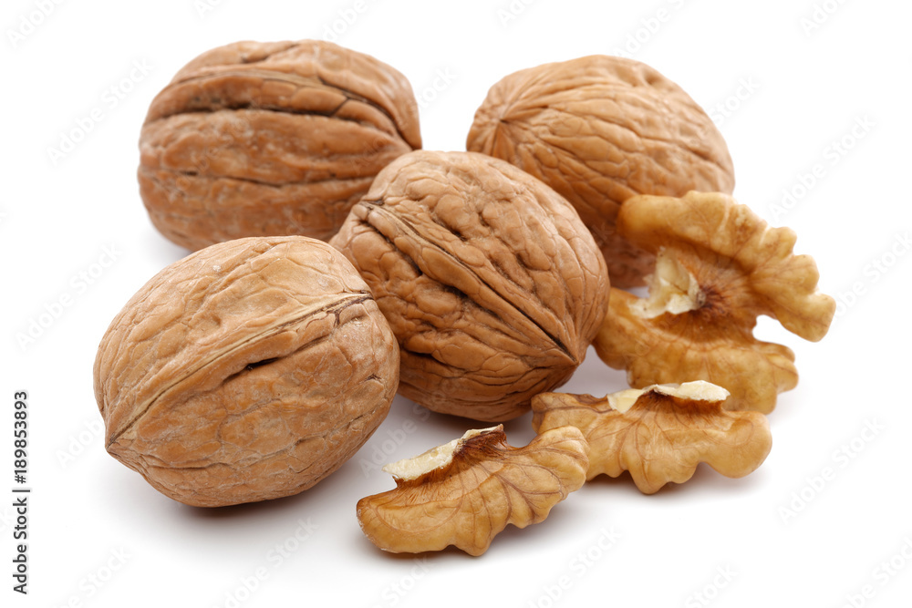 Walnut Walnut