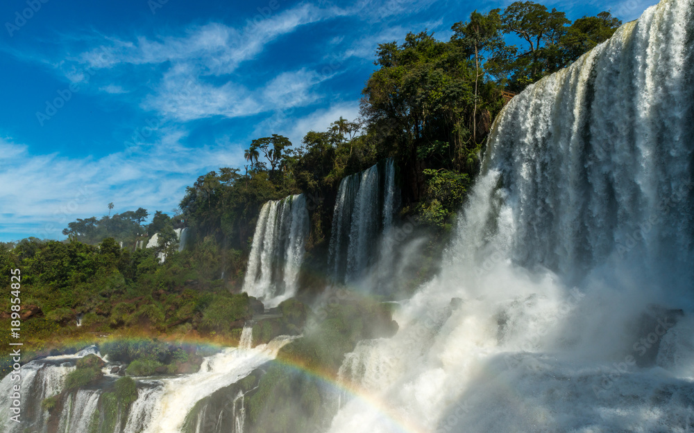 Fototapeta premium Iguazu Falls, Argentina