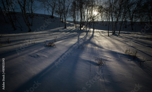 The image of Bashang in Hebei, China