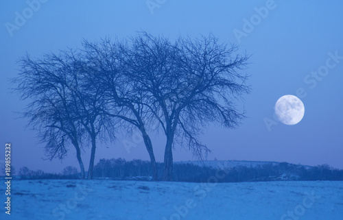 The image of Bashang in Hebei, China