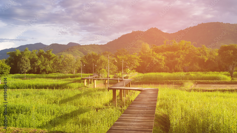 Wooden pathway over rice field with mountain background