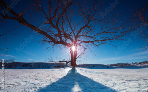 The image of Bashang in Hebei, China