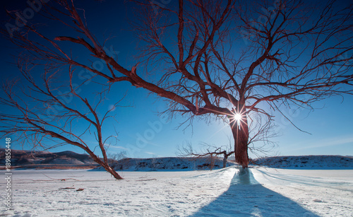 The image of Bashang in Hebei, China