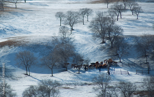 The image of Bashang in Hebei, China