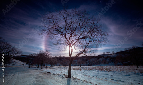 The image of Bashang in Hebei, China